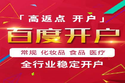 SEM广告投放策略：成功案例解析